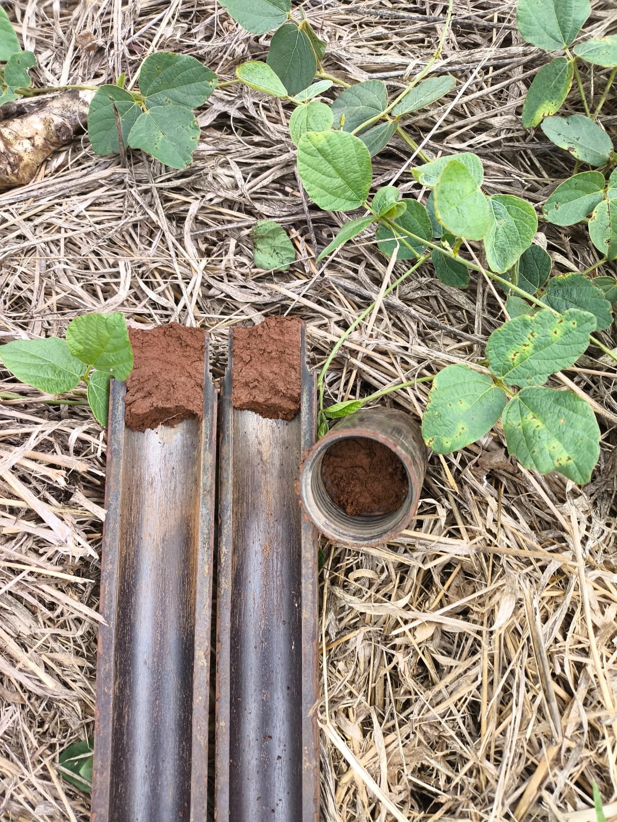 Equipe Sondabras realizando sondagem SPT